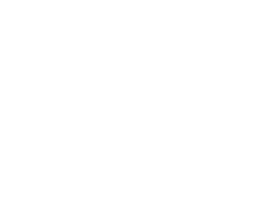 NV_Sponsor_Dancelite Light & Sound Support