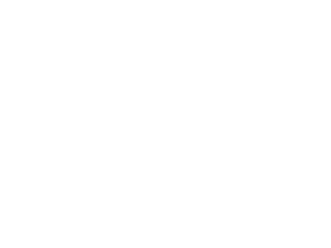 NV_Sponsor_Livelights